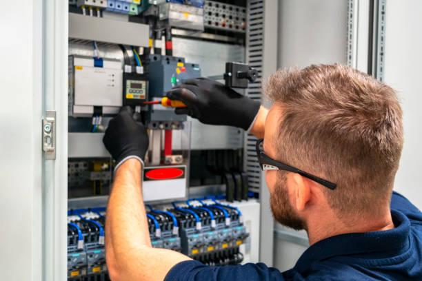 Best Generator Installation Services  in Breckenridge, MI