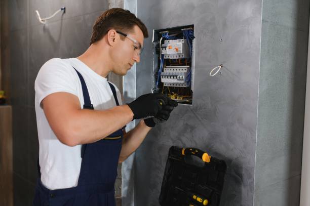 Best Electrical Repair Services  in Breckenridge, MI