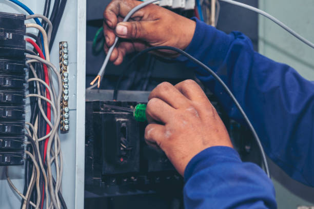 Best Licensed Electrician  in Breckenridge, MI